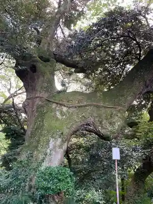 椎尾山薬王院(茨城県)