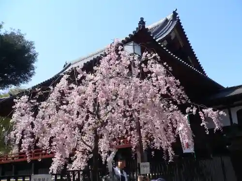 清水観音堂の庭園