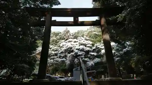 近江神宮の鳥居