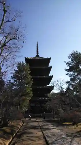 仁和寺の塔