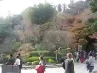 長谷寺の自然