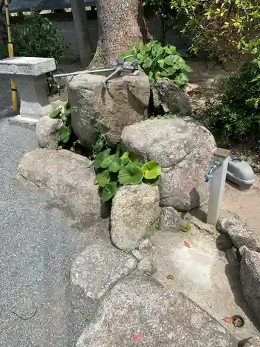 坂本八幡宮(福岡県)