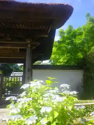 長壽寺（長寿寺）のその他建物