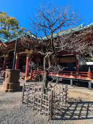 根津神社(東京都)