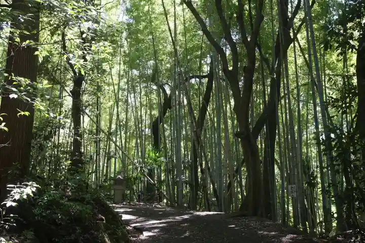 大洞弁財天 長寿院(滋賀県)
