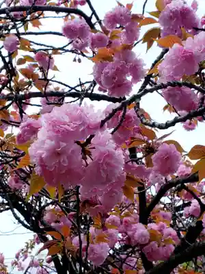 龍光寺(東京都)