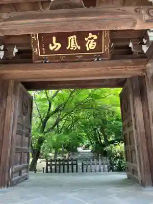 高円寺(東京都)
