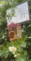 明月院(神奈川県)