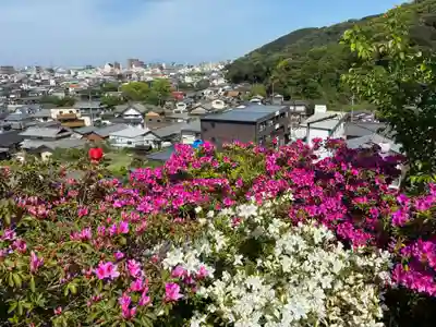 椎宮八幡神社(徳島県)