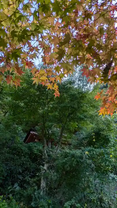 浄瑠璃寺(京都府)