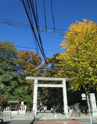 阿佐ヶ谷神明宮(東京都)