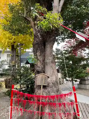 三輪神社のその他建物