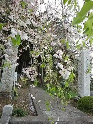 真福寺の山門