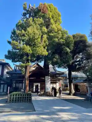 大國魂神社(東京都)