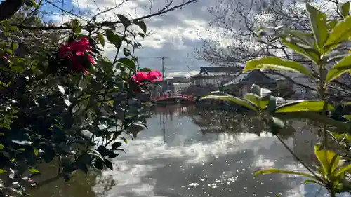 神泉苑(京都府)