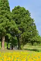 沢山神社(澤山神社)(新潟県)