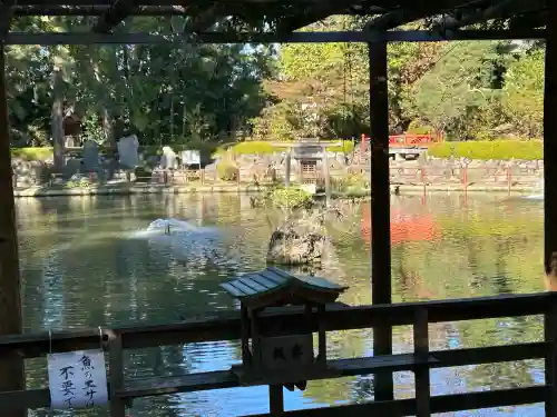 越ヶ谷久伊豆神社(埼玉県)