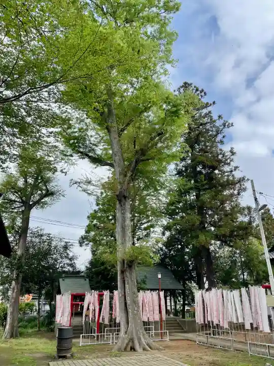 本宿天神社の{uncategorized: "未分類", other: "その他", undefined: "問題あり", building: "その他建物", grave: "お墓", sacred_gate: "鳥居", guardian: "狛犬", statue: "像", buddha: "仏像", history: "歴史", nature: "自然", garden: "庭園", animal: "動物", pagoda: "塔", temizu: "手水舎", mountain_gate: "山門・神門", sanctuary: "本殿・本堂", subordinate: "末社・摂社", art: "芸術", scenery: "景色", jizo: "地蔵", ema: "絵馬", goshuin: "御朱印", omikuji: "おみくじ", items: "授与品その他", amulet: "お守り", goshuincho: "御朱印帳", eats: "食事", festival: "お祭り", votive_dance: "神楽", shichigosan: "七五三参", wedding: "結婚式", experience: "体験その他", initially: "初詣", around: "周辺", anti_infection: "感染症対策"}