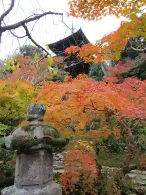 當麻寺中之坊(奈良県)