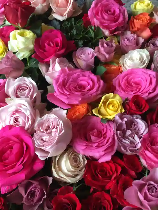 札幌諏訪神社の手水舎