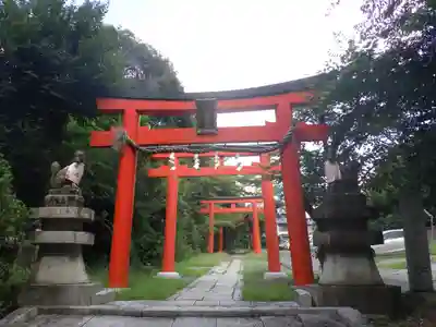 竹中稲荷神社（吉田神社末社）の鳥居