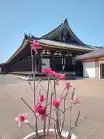 蓮華王院(三十三間堂)(京都府)