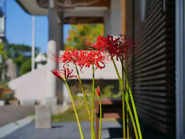 極楽山 浄土寺(北海道)