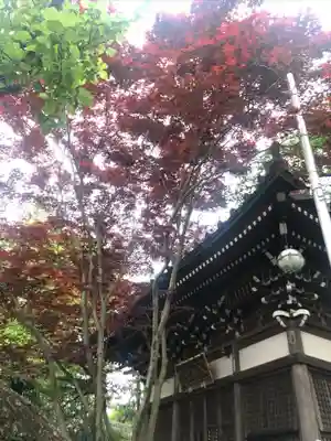 船橋不動尊　寳性寺の本殿・本堂