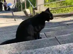 王子神社の動物