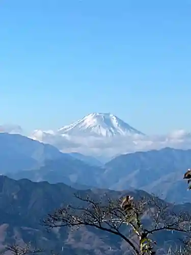 高尾山薬王院の景色