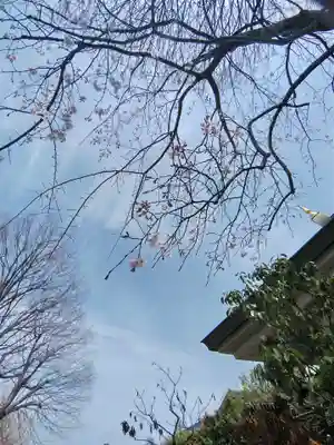 本立寺(東京都)