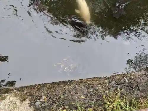 善知鳥神社(青森県)