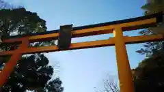 川越氷川神社の鳥居