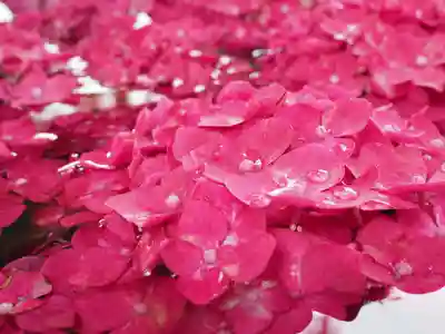 春日神社の手水舎