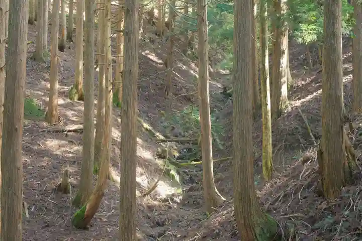 大峯山寺の自然
