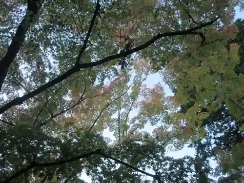 円通院(宮城県)