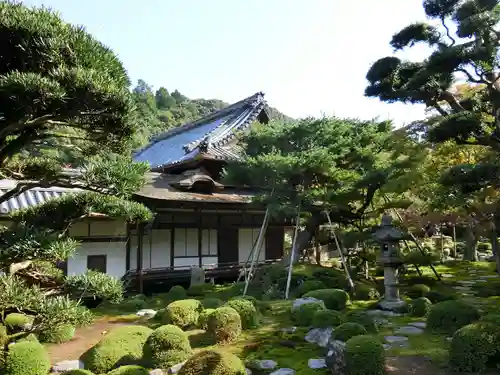 金剛寺の庭園