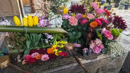 勝林寺(京都府)