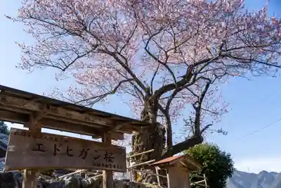 春谷寺(三重県)