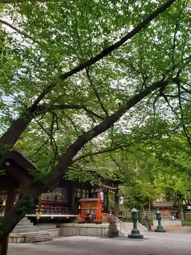 熊野神社の本殿・本堂