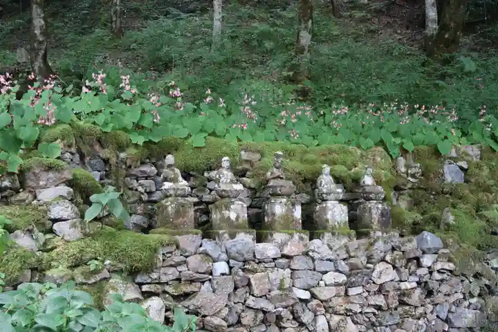 古知谷阿弥陀寺(京都府)