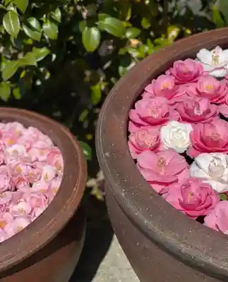 霊鑑寺門跡(京都府)