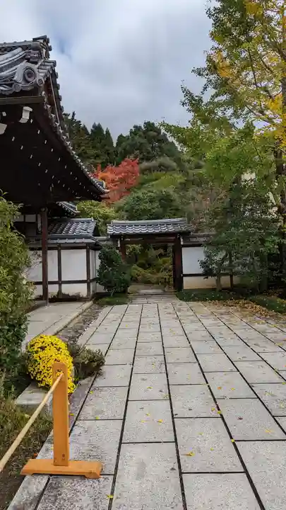 霊鑑寺門跡(京都府)
