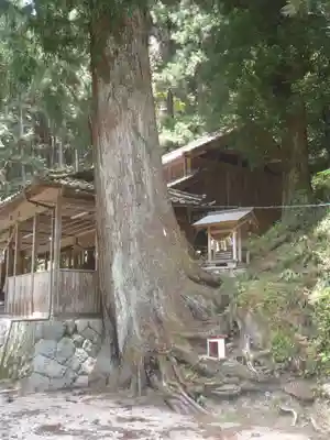 漆原神社(岐阜県)