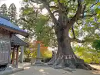 六所神社(福岡県)
