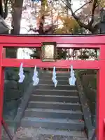 渋川八幡宮(群馬県)