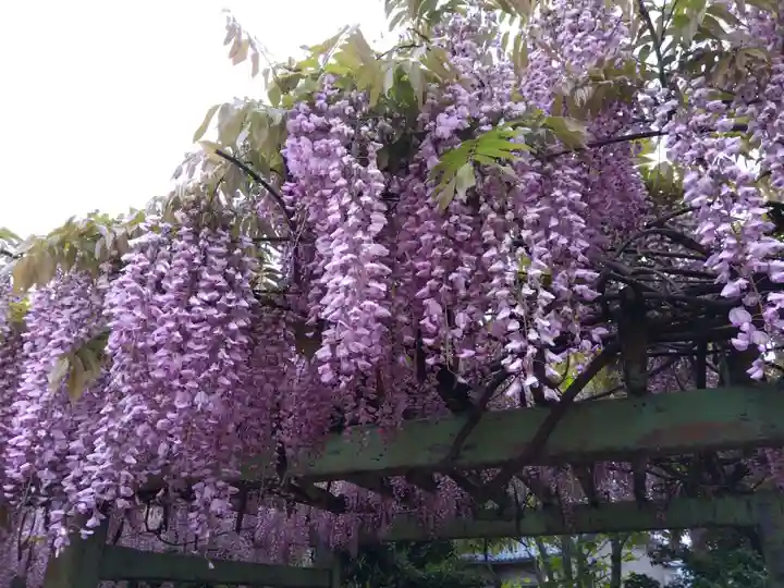 不動明王堂(東新保)(福井県)