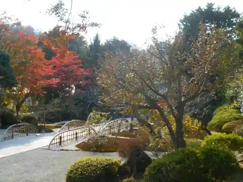 浄妙寺の庭園