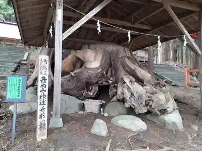 丹内山神社のその他建物