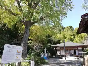 安房高野山妙音院の末社・摂社(2020年10月24日(土) 22時53分16秒投稿)